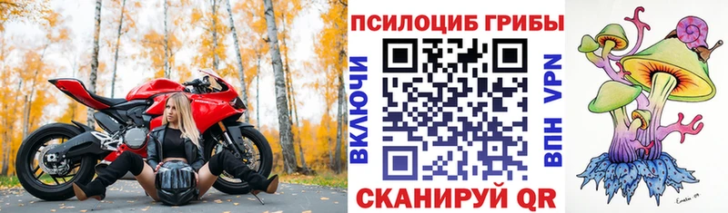 MEGA ССЫЛКА  Онега  Псилоцибиновые грибы мухоморы 
